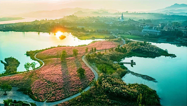 研学介绍